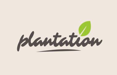 saç ekimi kelime veya metin ile yeşil yaprak. El yazısıyla yazılan yazı