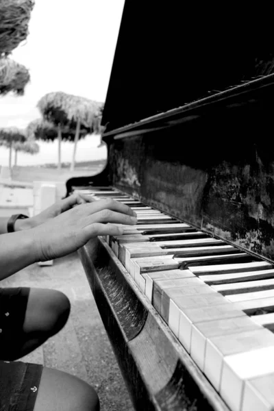 Musiker spiller klaver på en strand i sort og hvid - Stock-foto