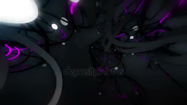 animation de l'espace vivant 