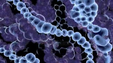 İlmekledi sorunsuz görüntüleri