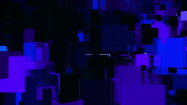 Images sans couture bouclées 