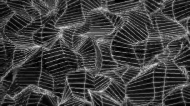 Olay, konser, başlık, sunum, sorunsuz görüntüleri ilmekledi sitesi, Dvd, müzik klipleri, video art, tatil gösterisini, parti, vb hareket tasarımcıları, editörler ve Vj s led ekranlar için de yararlı.