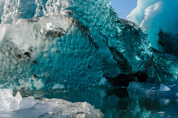 Pedaço de gelo — Fotografia de Stock