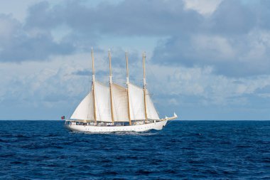 Dört beyaz yelkenli yelkenli.