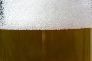 Bardakta bira ve köpük