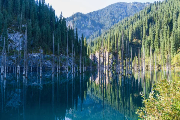 Jezioro Kaindy Górskie Jezioro Kazachstanie — Zdjęcie stockowe