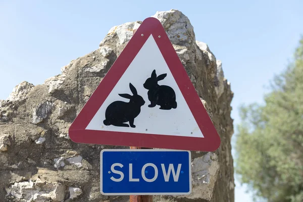 Road mark with rabbits on white background