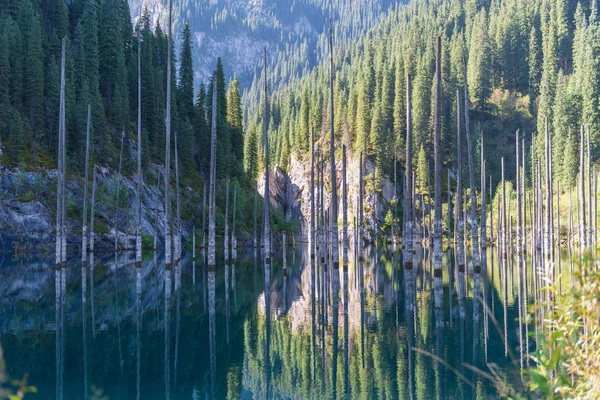 Lago Kaindy Lago Montanha Cazaquistão — Fotografia de Stock