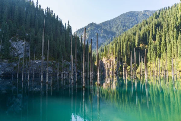 Kaindyho Jezero Horské Jezero Kazachstánu — Stock fotografie