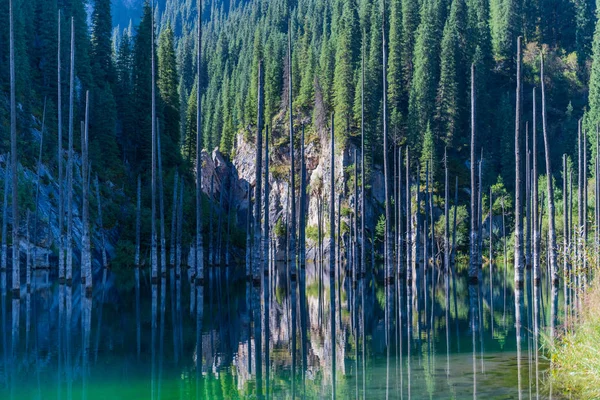 Kaindy Lake Mountain Lake Kazakhstan — Stock Photo, Image
