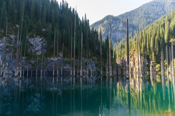 カインディ湖 カザフスタンの山の湖 — ストック写真