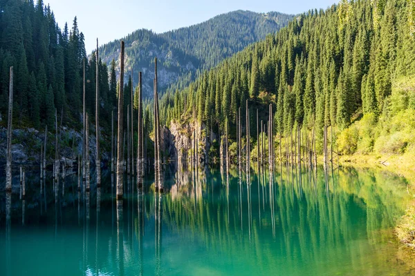 Lago Kaindy Lago Montaña Kazajstán — Foto de Stock