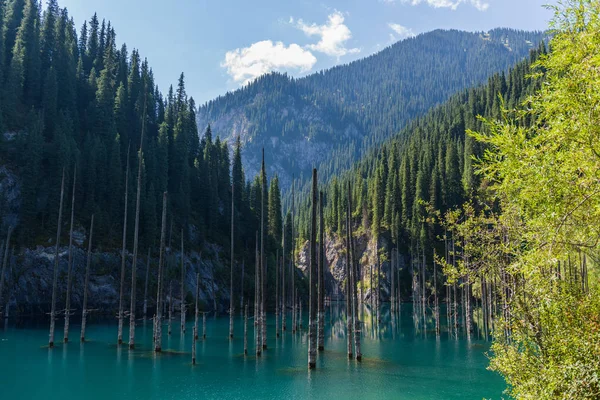 カインディ湖 カザフスタンの山の湖 — ストック写真