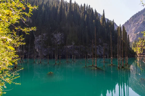 カインディ湖 カザフスタンの山の湖 — ストック写真