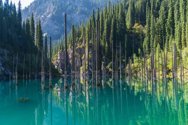 Jezioro Kaindy Górskie Jezioro Kazachstanie — Zdjęcie stockowe