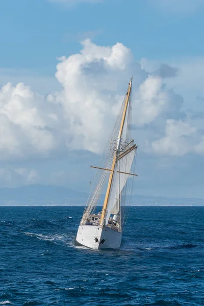 Navio Vela Com Quatro Velas Brancas — Fotografia de Stock