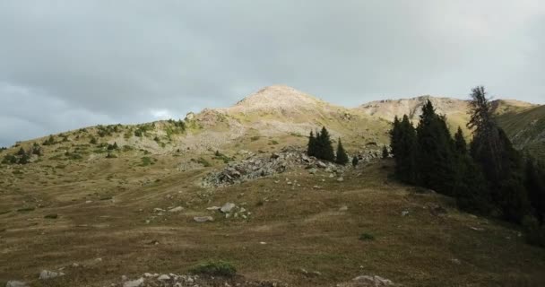 空中风景 夏天的时候 无人机飞越了高山 美丽的山地风景 晴天的高山草甸 — 图库视频影像