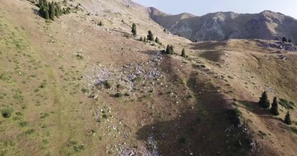 Вид Повітря Дрон Літає Над Горами Літній Час Красивий Гірський — стокове відео