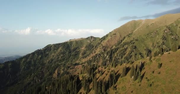 空中风景 夏天的时候 无人机飞越了高山 美丽的山地风景 晴天的高山草甸 — 图库视频影像