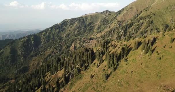 Αεροφωτογραφία Κηφήνας Πετάει Πάνω Από Βουνά Καλοκαίρι Όμορφο Ορεινό Τοπίο — Αρχείο Βίντεο