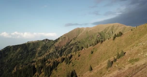 Вид Повітря Дрон Літає Над Горами Літній Час Красивий Гірський — стокове відео