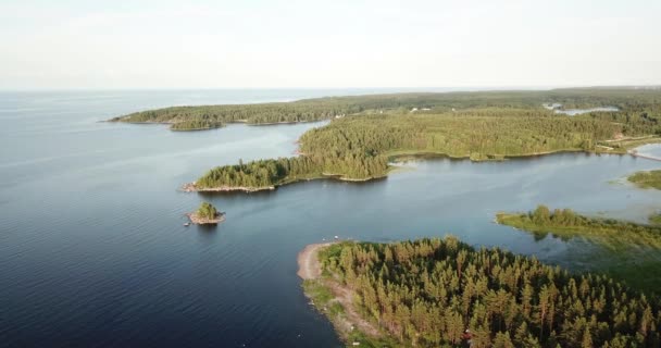 Vue Aérienne Les Drones Survolent Lac Forêt Été Nature Européenne — Video