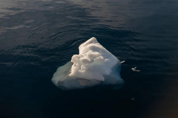 Großes Stück Eis Tiefblauen Wasser — Stockfoto