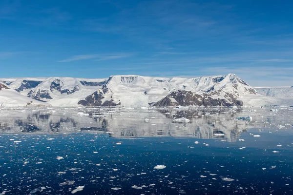 Marina Antártica Com Iceberg Reflexão — Fotografia de Stock