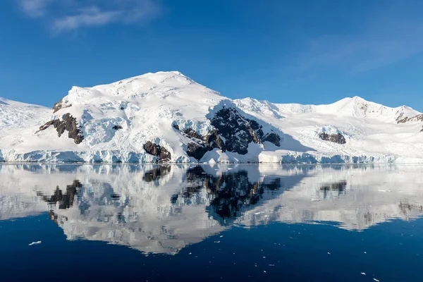 Marina Antártica Com Icebergs Reflexão — Fotografia de Stock