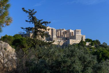 Atina, Yunanistan 'daki Parthenon Tapınağı. Altın saat ışığı.