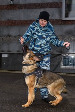 Eğitimli köpeği olan kadın polis memurları. Alman çoban köpeği..