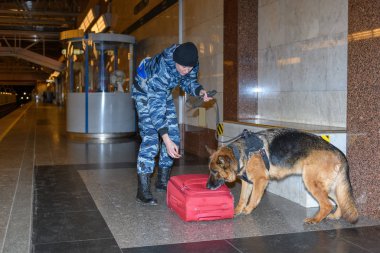 Female police officer with a trained german shepherd dog sniffs out drugs or bomb in luggage. Subway station. clipart