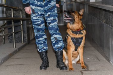 Eğitimli köpeği olan kadın polis memurları. Alman çoban köpeği..