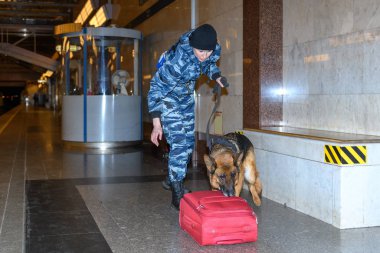 Eğitimli bir Alman çoban köpeği olan kadın polis memuru ya uyuşturucunun kokusunu alır ya da bagajdaki bombayı. Metro istasyonu..