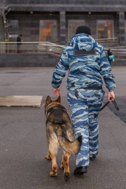 Eğitimli köpeği olan kadın polis memurları. Alman çoban köpeği..