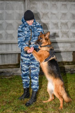 Eğitimli köpeği olan kadın polis memurları. Alman çoban köpeği..