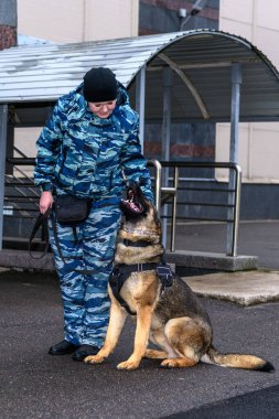 Eğitimli köpeği olan kadın polis memurları. Alman çoban köpeği..