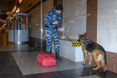 Eğitimli bir Alman çoban köpeği olan kadın polis memuru ya uyuşturucunun kokusunu alır ya da bagajdaki bombayı. Metro istasyonu..