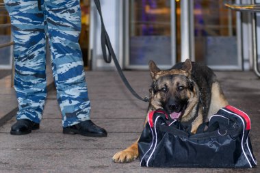 Eğitimli bir köpeği olan kadın polis ya uyuşturucu bulur ya da bagajdaki bombayı. Alman çoban köpeği..