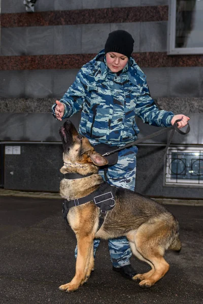 Vrouwelijke Agenten Met Een Getrainde Hond Duitse Herder Politiehond — Stockfoto