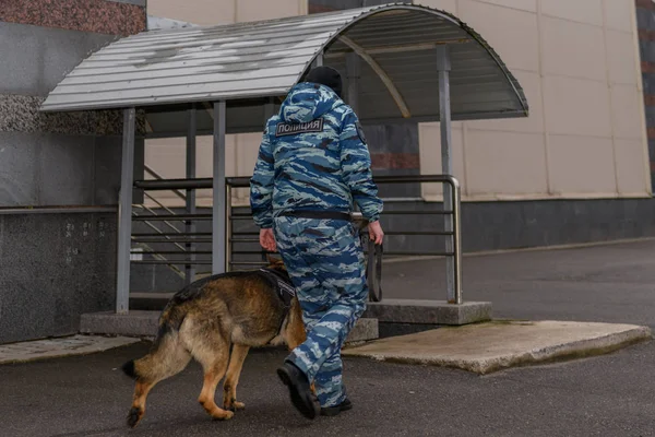 Naispoliiseja Koulutetun Koiran Kanssa Saksanpaimenkoira Venäjän Poliisi Merkki Tarkoittaa Poliisi — kuvapankkivalokuva