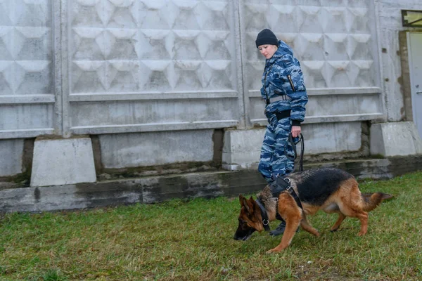 Vrouwelijke Agenten Met Een Getrainde Hond Duitse Herder Politiehond — Stockfoto