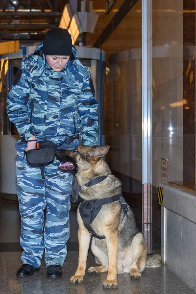 Vrouwelijke Politieagent Met Een Getrainde Duitse Herdershond Ruikt Drugs Bommen — Stockfoto