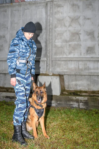 Naispoliiseja Koulutetun Koiran Kanssa Saksanpaimenkoira — kuvapankkivalokuva