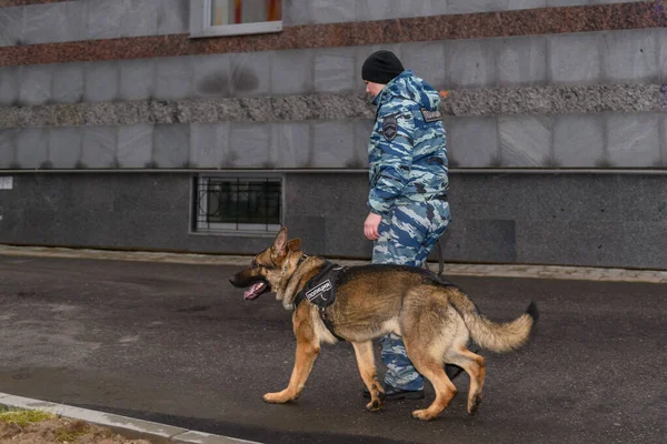 Female police officers with a trained dog. German shepherd police dog. Russian Police. Sign means \