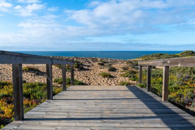 Wooden footbridge leading to shore. Sunny day.