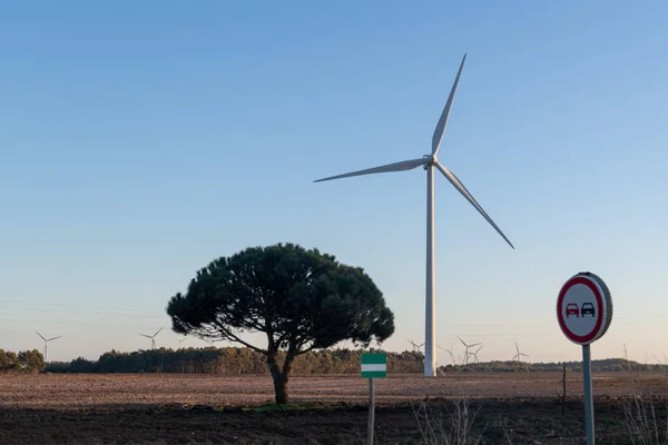 Windkraftanlage Zur Stromerzeugung Energiesparkonzept — Stockfoto