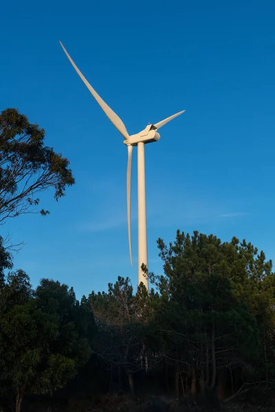 Windkraftanlage Zur Stromerzeugung Energiesparkonzept — Stockfoto