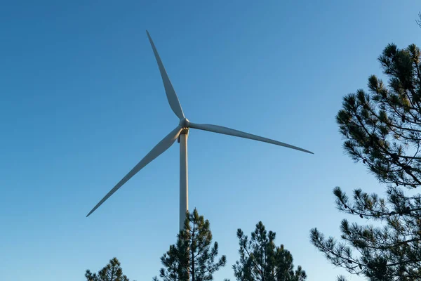 Windkraftanlage Zur Stromerzeugung Energiesparkonzept — Stockfoto