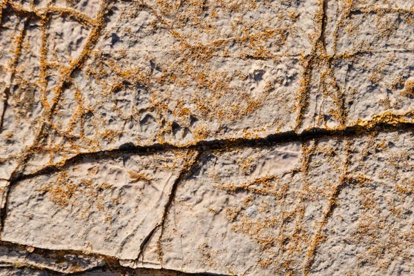 Pietra Sfondo Texture Roccia Texture Naturali — Foto Stock
